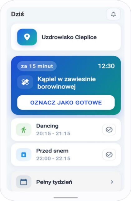 dzis phone mockup (1)